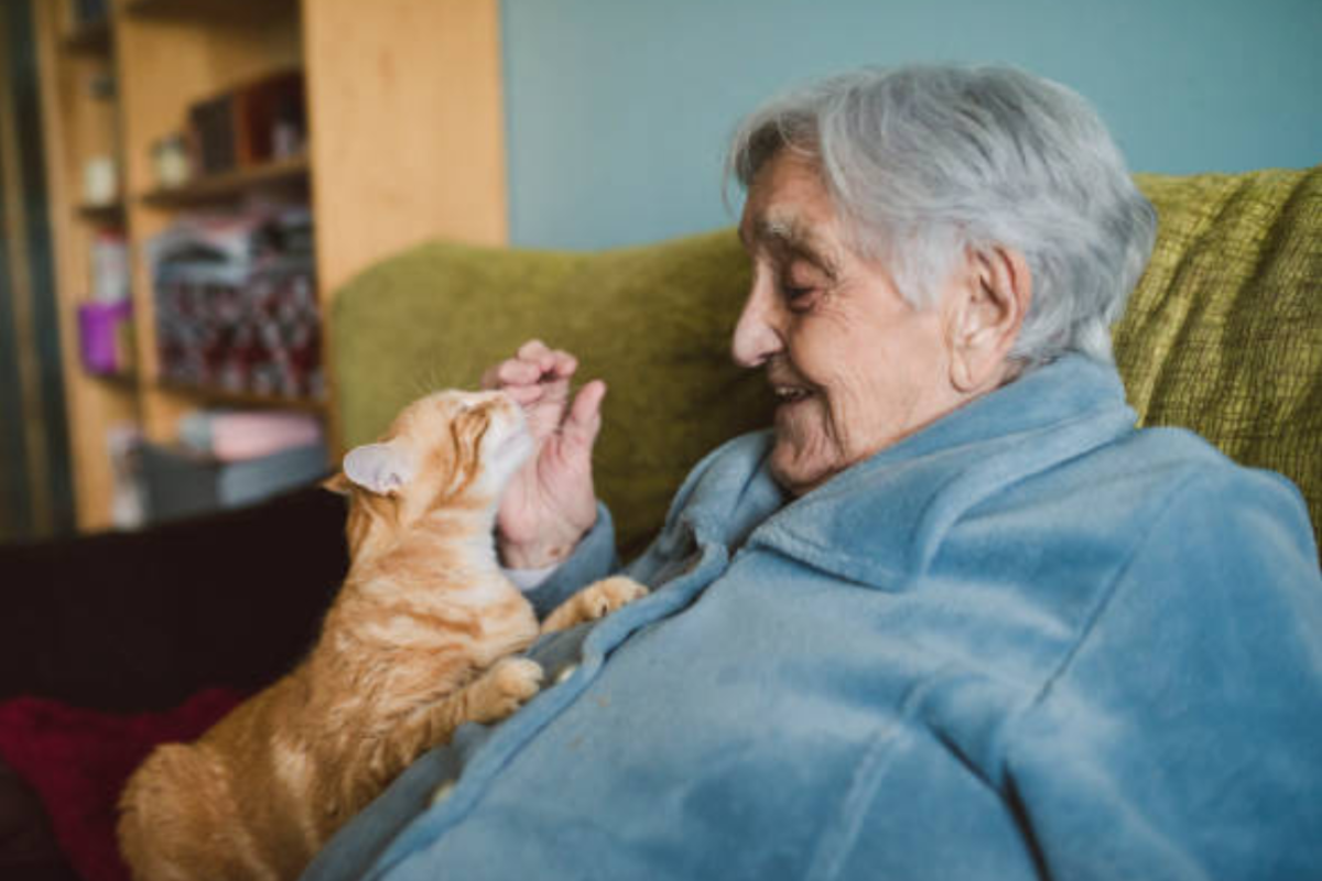 Aeroflow and Meals on Wheels Buncombe County -1